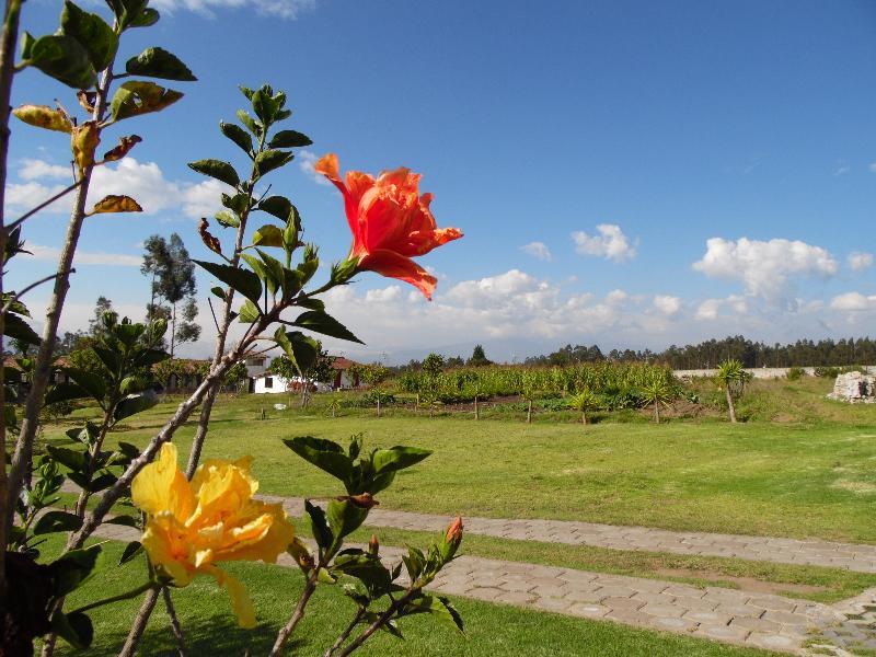 Posada Mirolindo Quito Ngoại thất bức ảnh